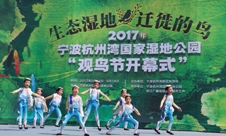 宁波杭州湾国家湿地公园“观鸟节”活动
