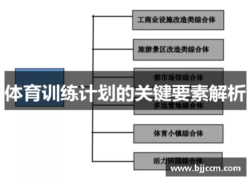 体育训练计划的关键要素解析